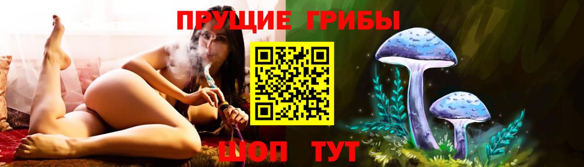 Псилоцибиновые грибы прущие грибы  Вход с VPN  Мариинск  Галлюциногенные грибы GOLDEN TEACHER 